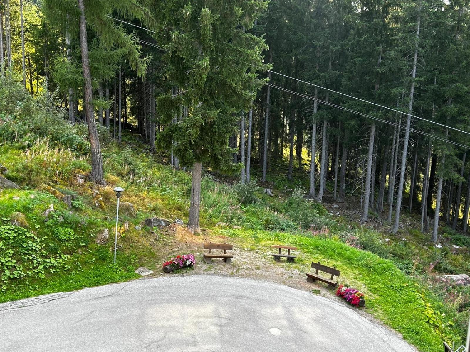 Sole Alto Marilleva Appartement Mezzana  Buitenkant foto