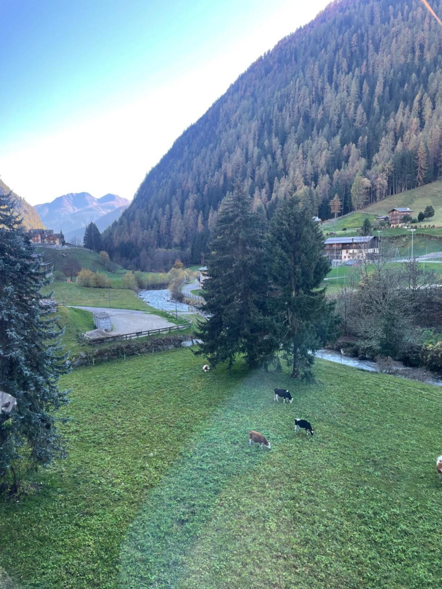 Sole Alto Marilleva Appartement Mezzana  Buitenkant foto